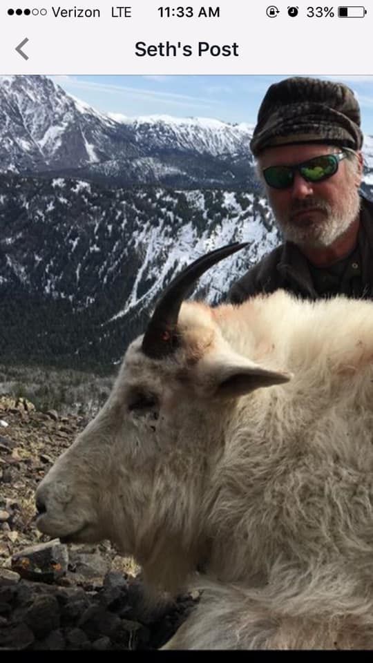 A man is standing next to a mountain goat.
