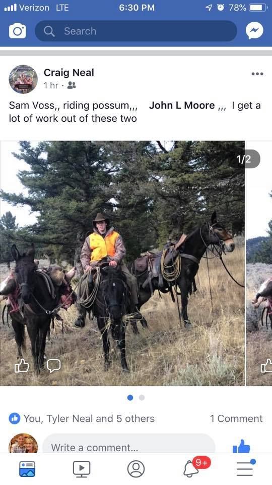 A person is riding a horse on a facebook page.