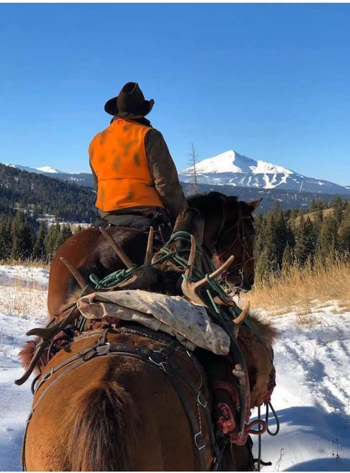 A man in an orange vest is riding a horse in the snow.