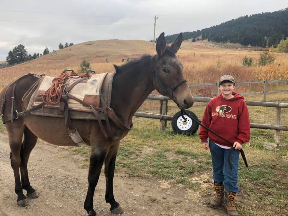 A boy standing next to a donkey with a saddle on it