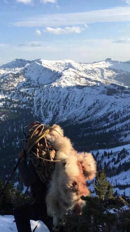 A person is holding a dog on top of a snow covered mountain.