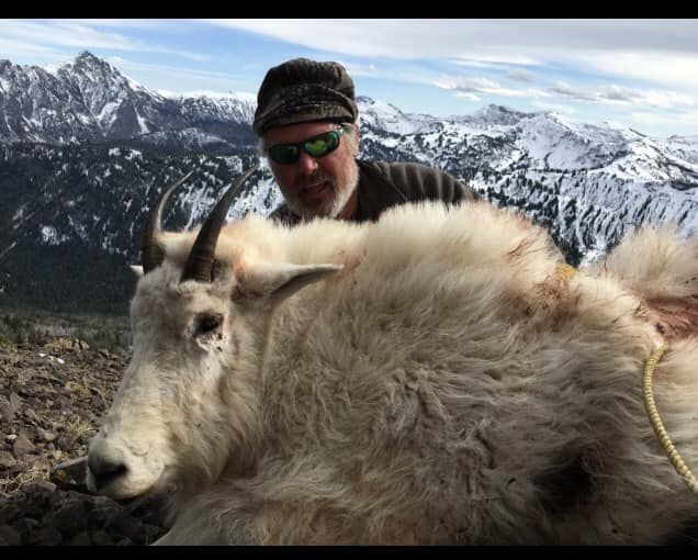 A man is standing next to a mountain goat with mountains in the background.