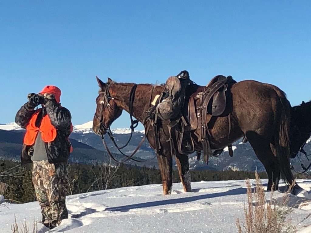 A man is standing next to two horses in the snow.