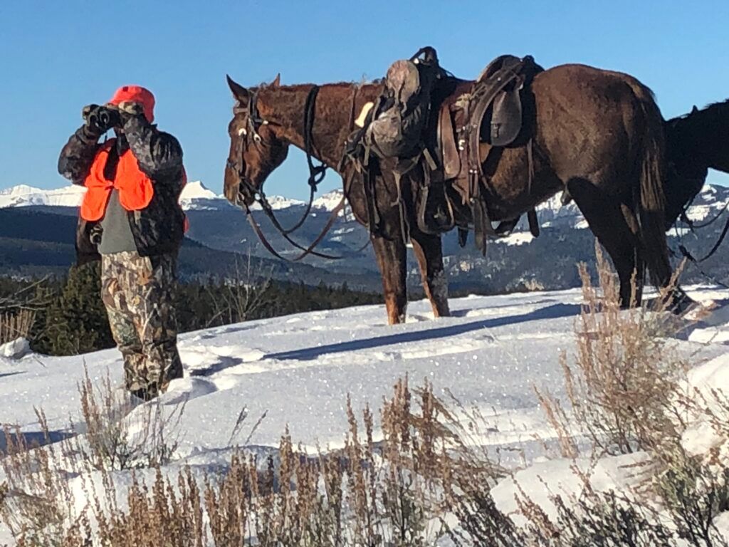 A man is standing next to two horses in the snow.