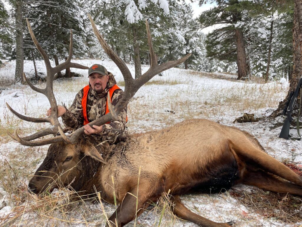 A man is standing next to a large elk in the snow.