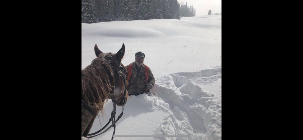 A man and a horse are standing in the snow.