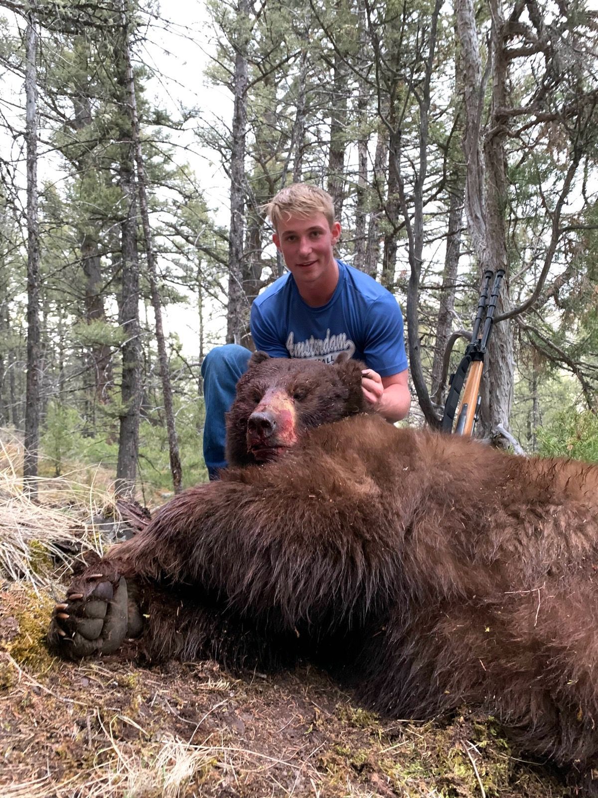 A man is kneeling next to a large brown bear in the woods.