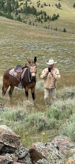 A man is standing next to a donkey in a field.