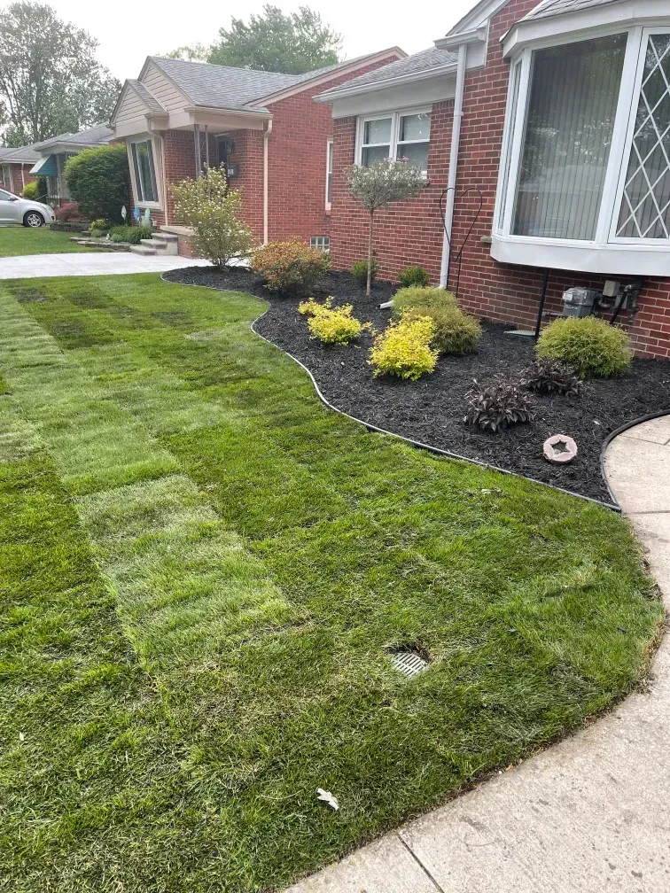 A Lush Green Lawn — Livonia, MI — Nate's Family Tree Service