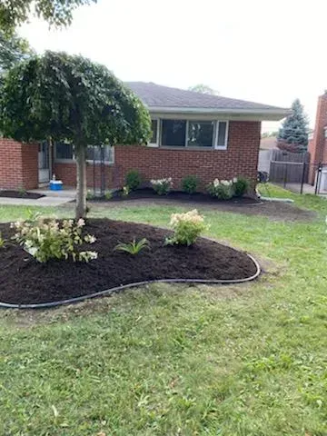 Lawn With a Tree — Livonia, MI — Nate's Family Tree Service