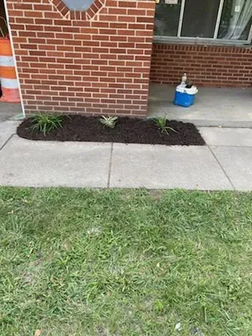 Plants With Mulch — Livonia, MI — Nate's Family Tree Service
