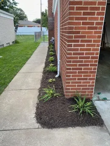 Small Plants — Livonia, MI — Nate's Family Tree Service