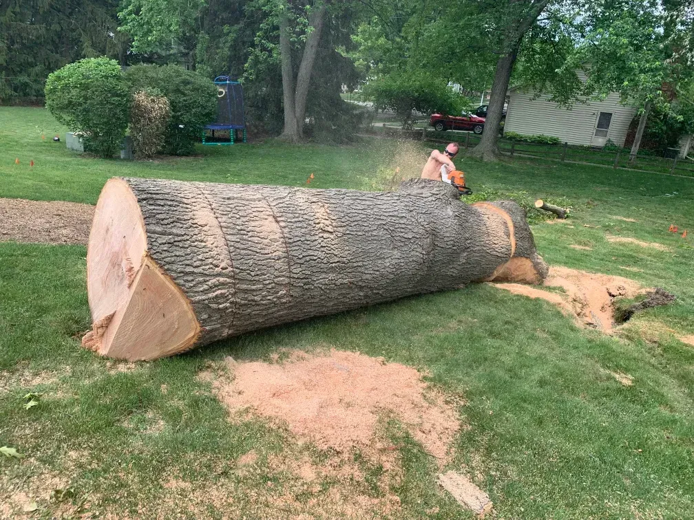 A Large Log — Livonia, MI — Nate's Family Tree Service