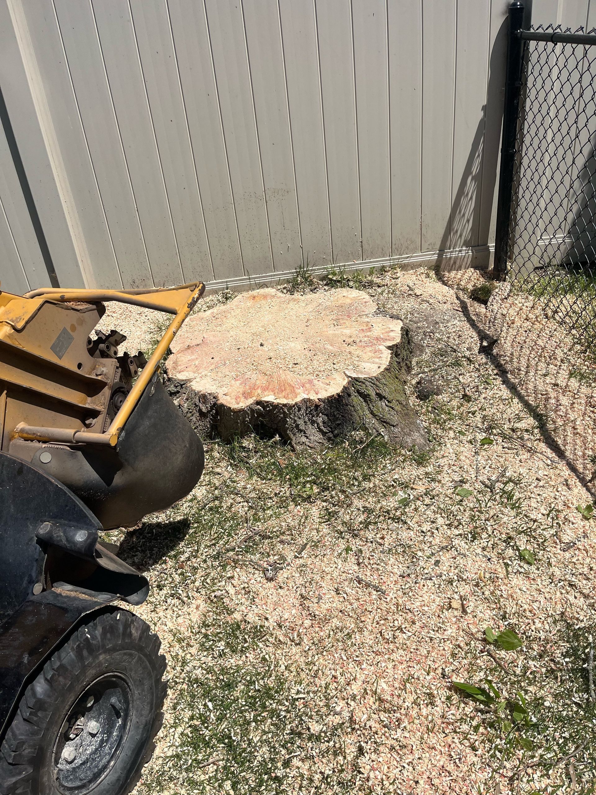A Tree Stump Being Removed — Livonia, MI — Nate's Family Tree Service