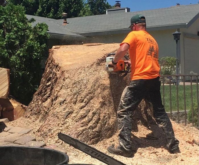 A stump grinder is cutting a tree stump in the grass.