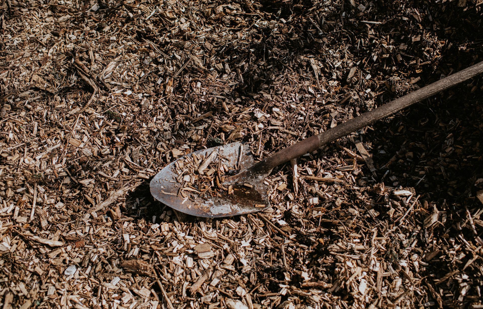 Shovel scoops up wood chips in a pile; tan and brown colors.