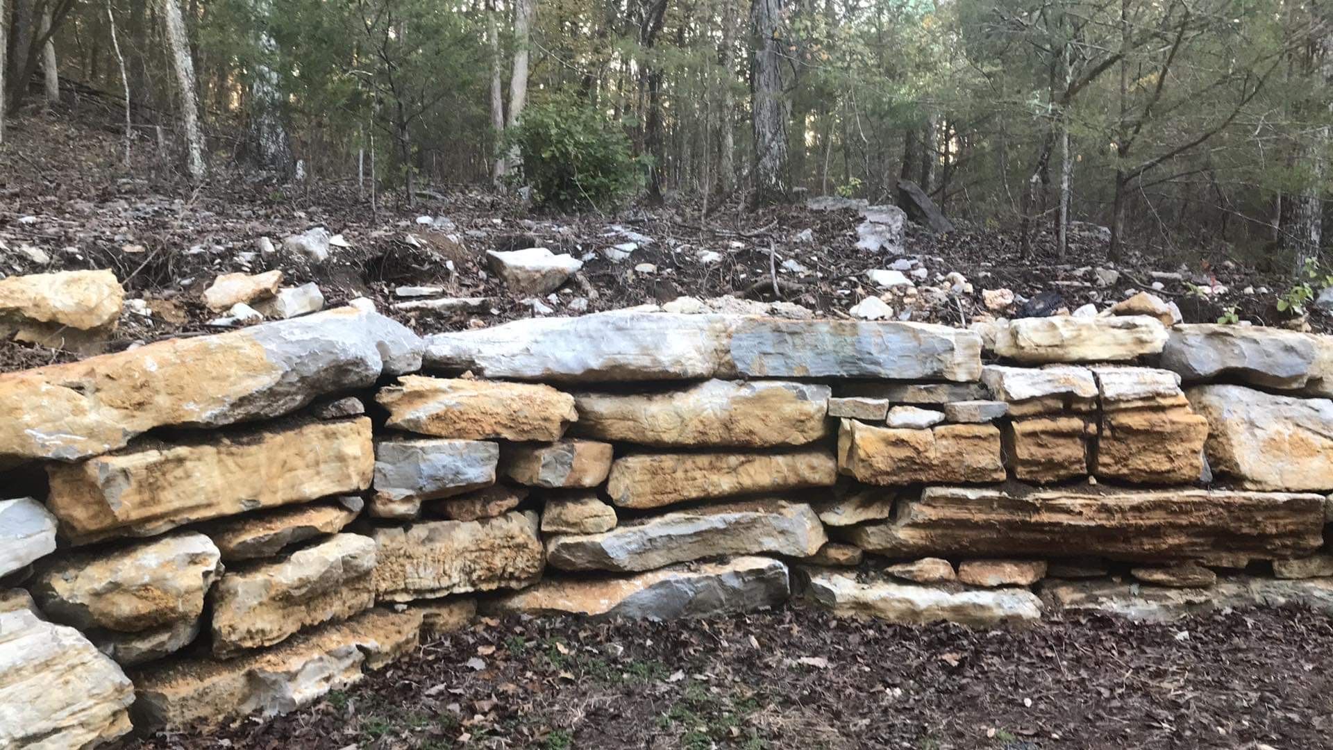 A brick walkway with a bush in the background.