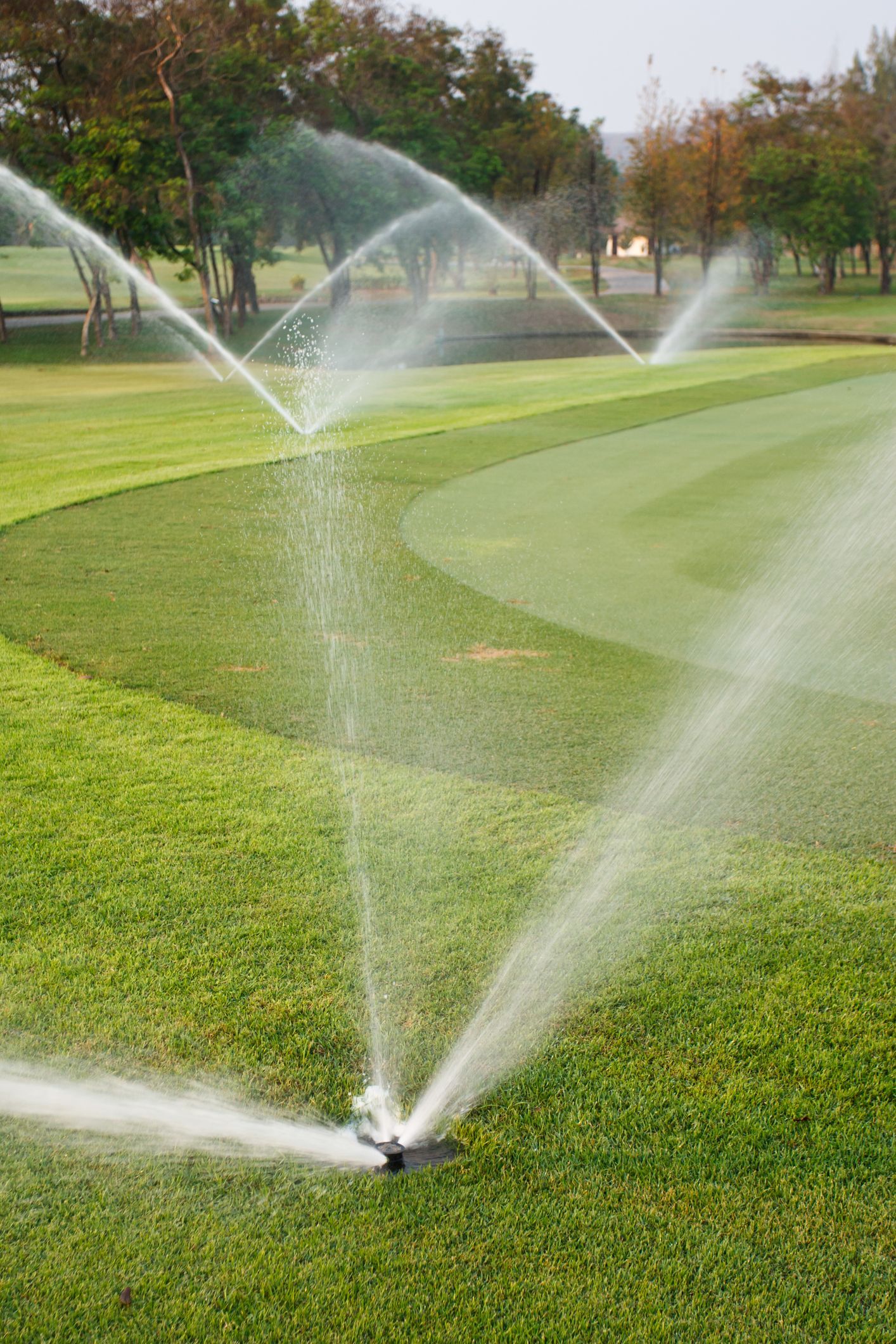 A sprinkler is spraying water on a golf course.