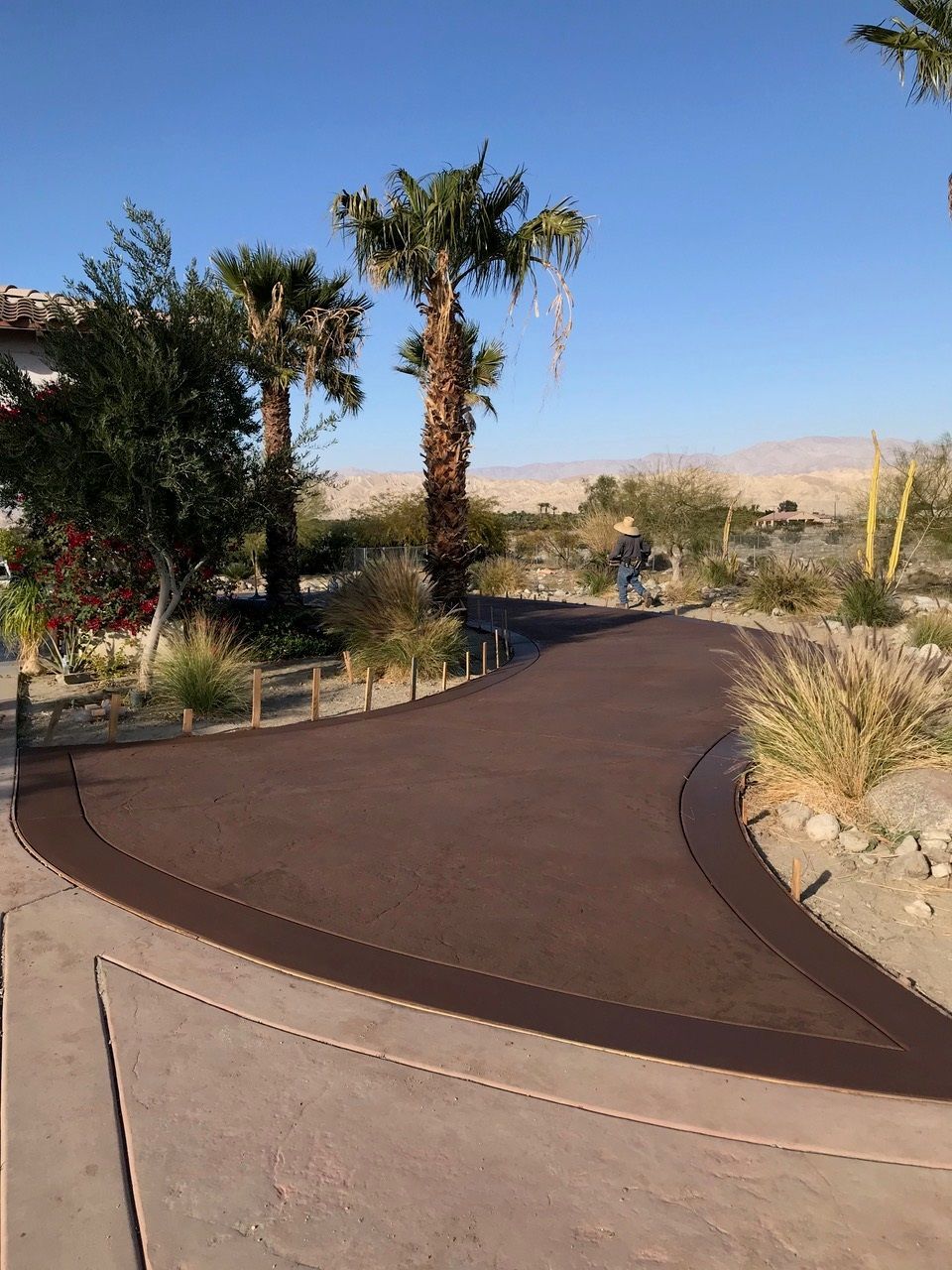 A driveway with palm trees on the side of it