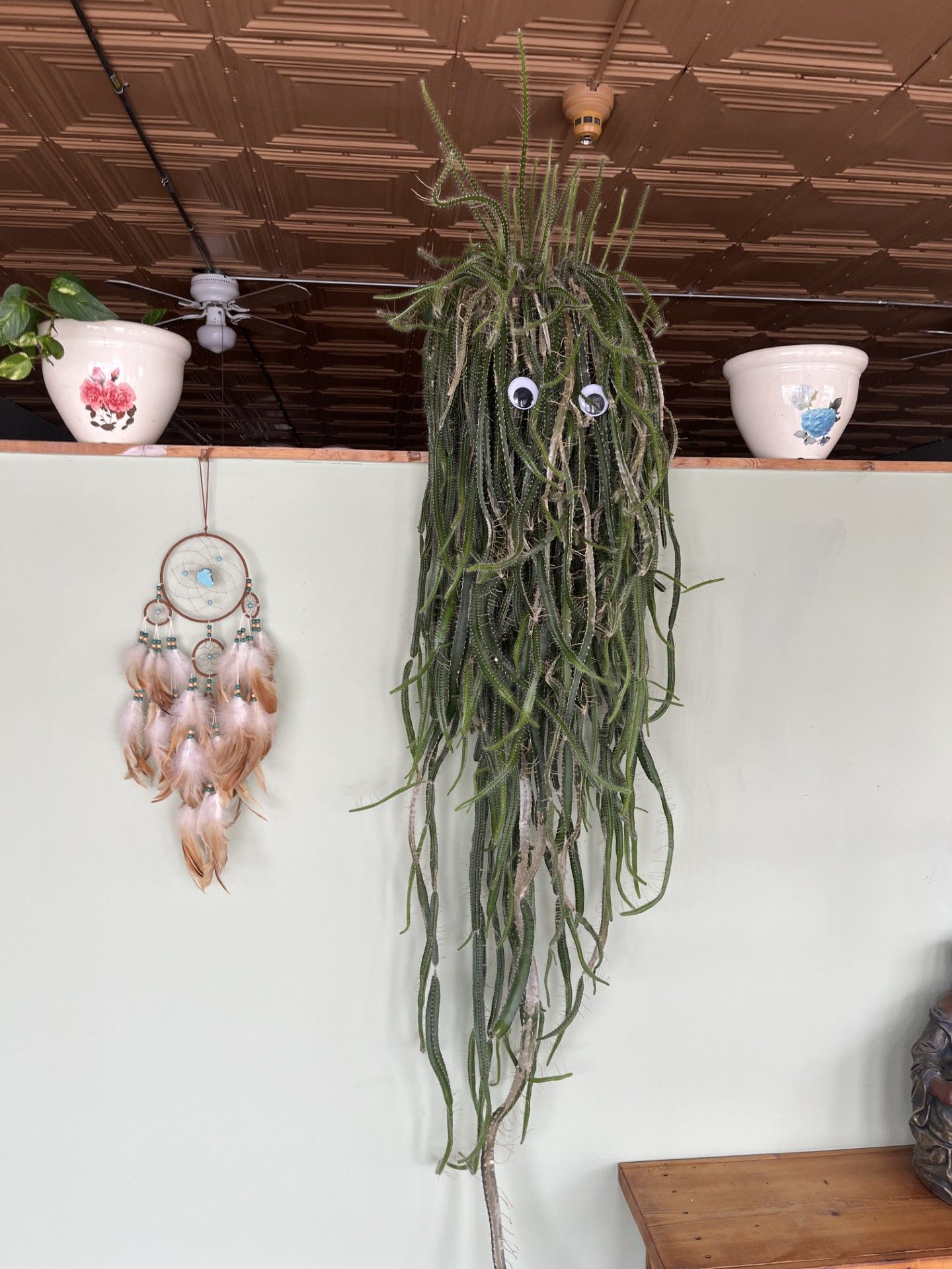 Hanging plant with googly eyes, on a shelf with pots and a dreamcatcher.