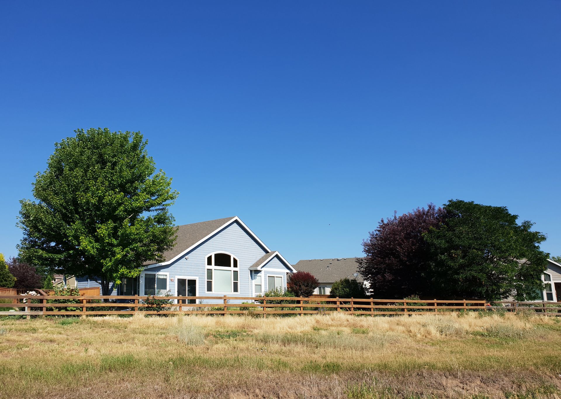 Blue house with a wooden fence, green and purple trees, and a clear blue sky.