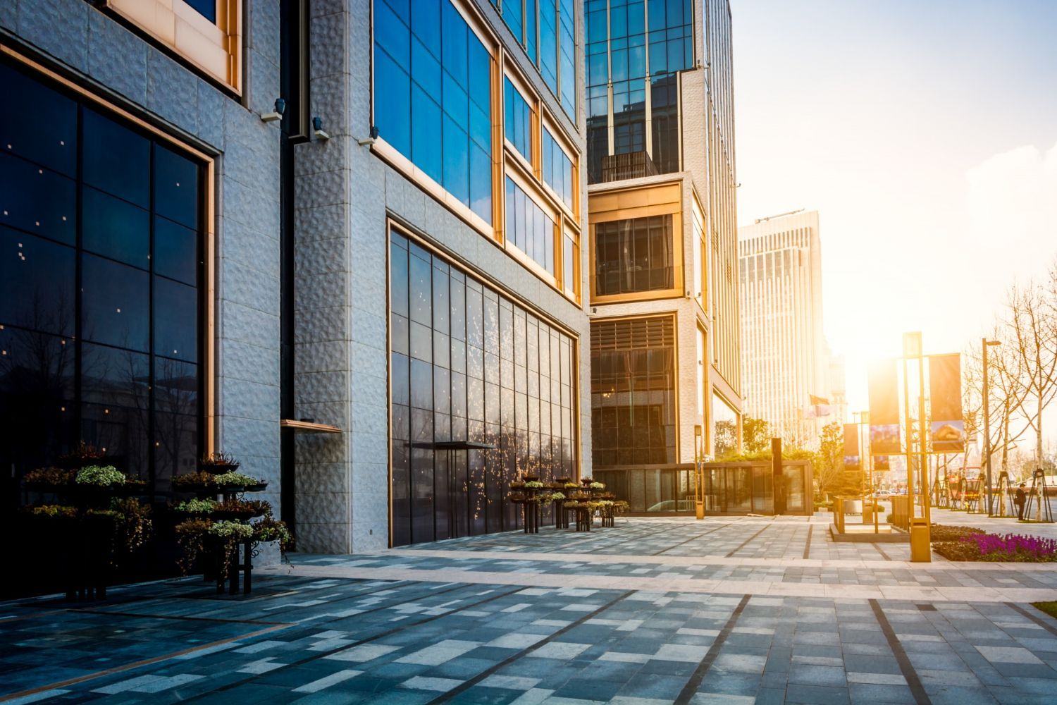 Modern glass office buildings beside a sunlit plaza with blue-gray paving and long shadows