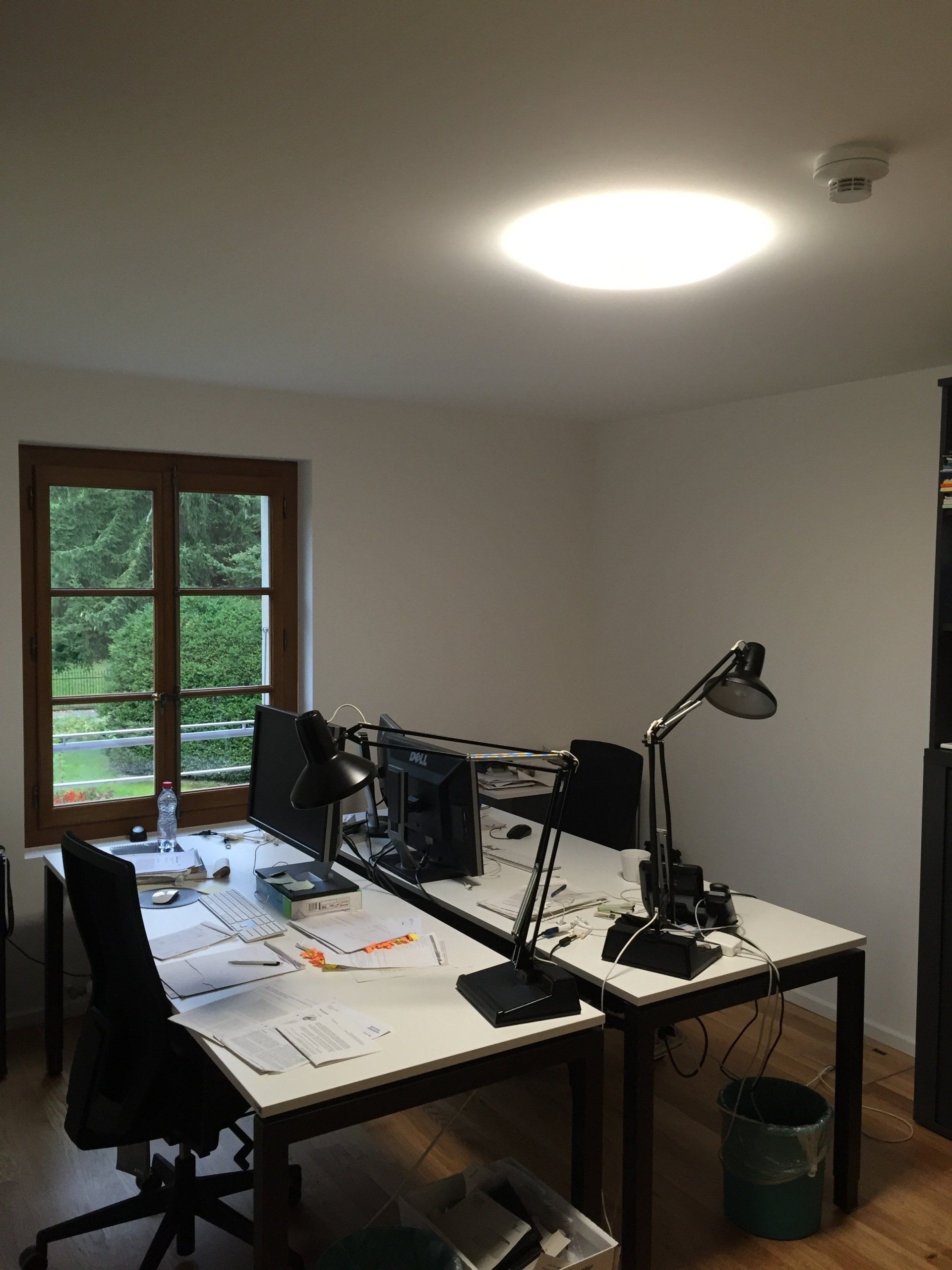 Travaux des bureaux chez Ecogia