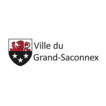Logo ville du Grand Saconnex