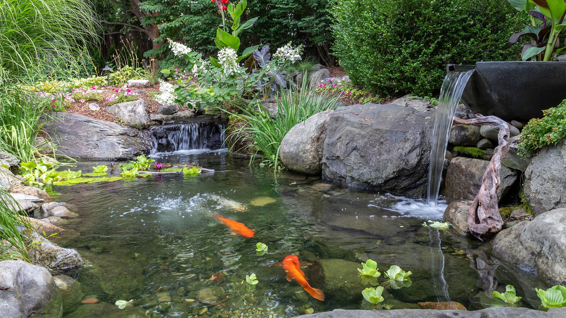 All Natural Streams Landscaping