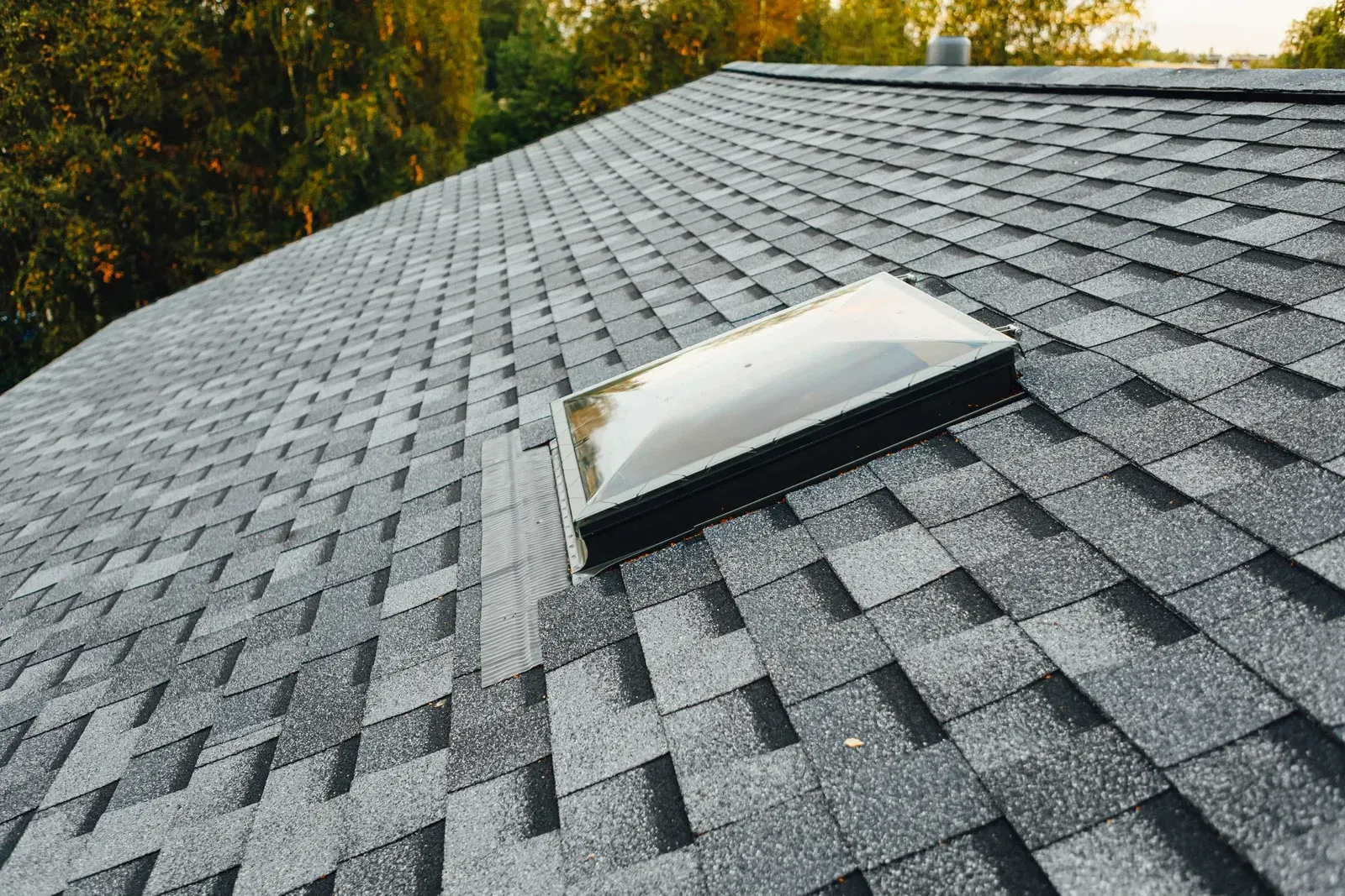 Gray shingled roof with a skylight; trees in the background.