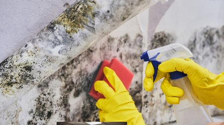 A person wearing yellow gloves is cleaning a wall with a spray bottle and a sponge.