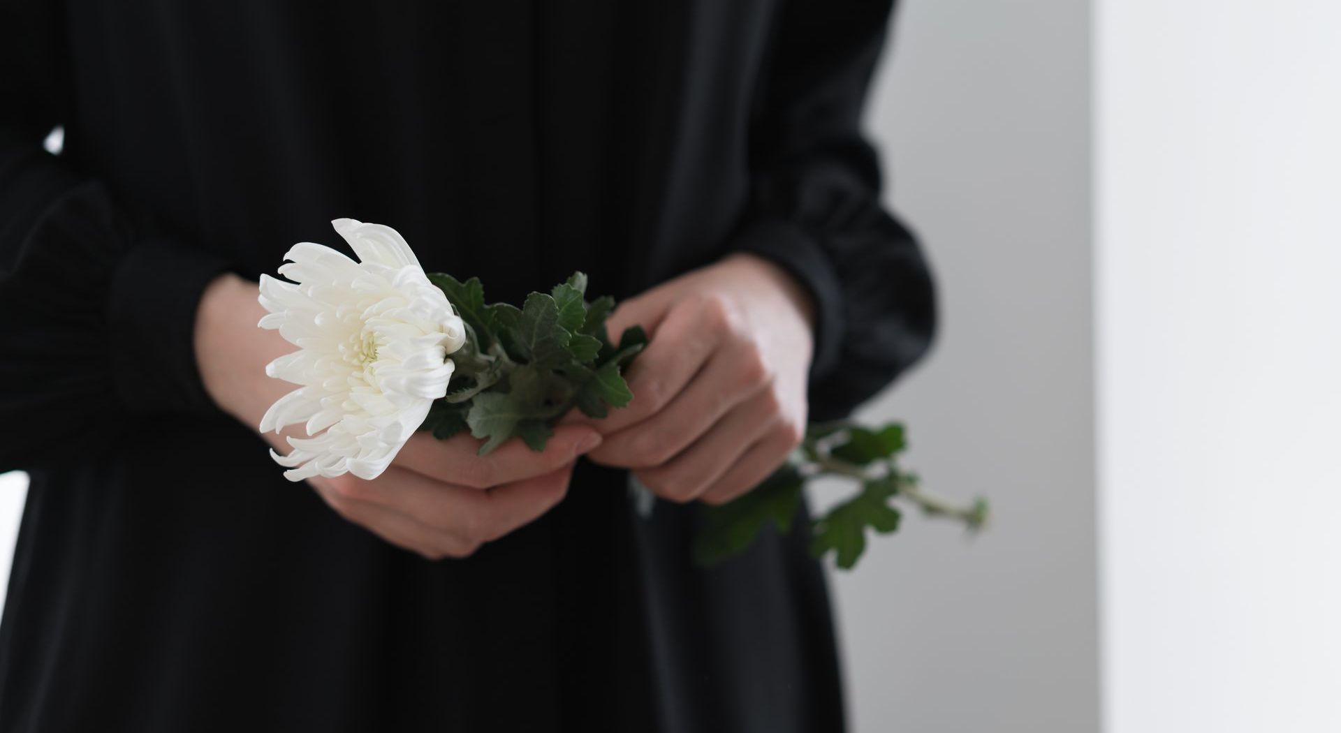 a woman in a black dress is holding a white flower in her hands .