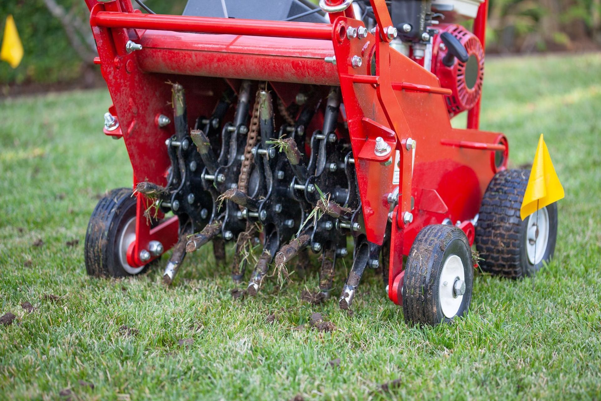 Red lawn aerator on grass, extracting soil plugs. Yellow flags, wheels.