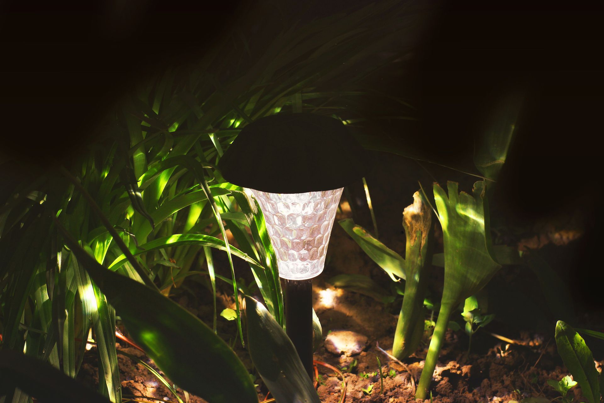 Solar garden light illuminating plants at night.