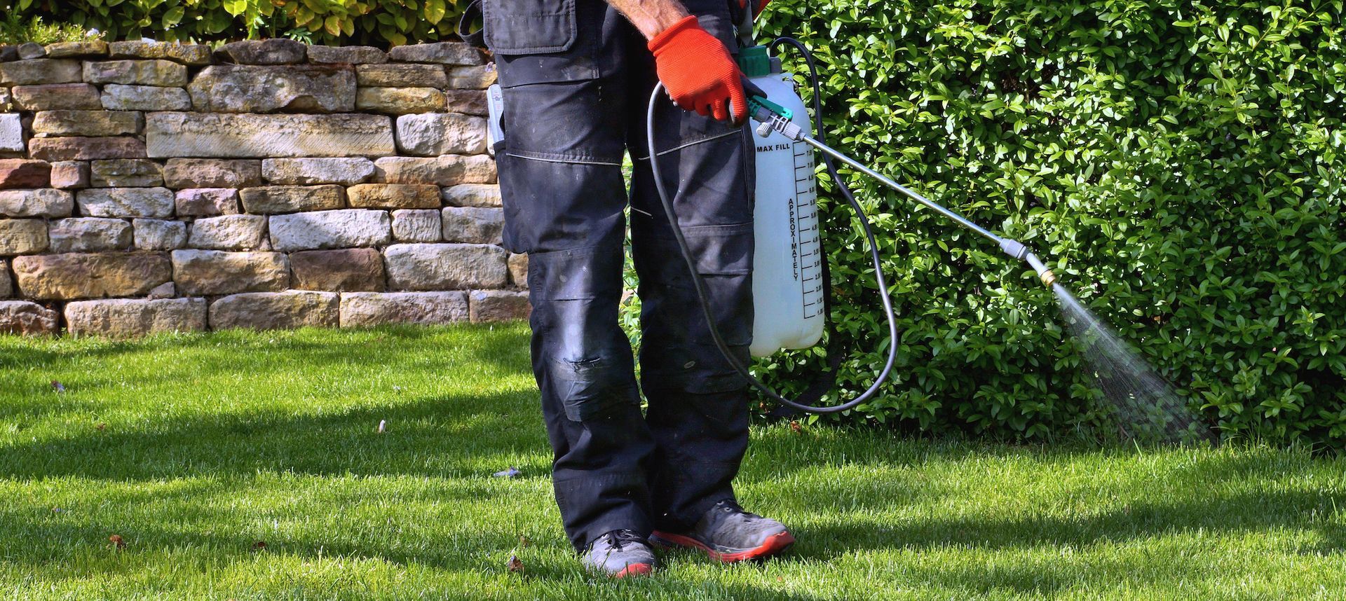Person spraying a lawn with a handheld sprayer, wearing orange gloves and dark work pants, near a stone wall.