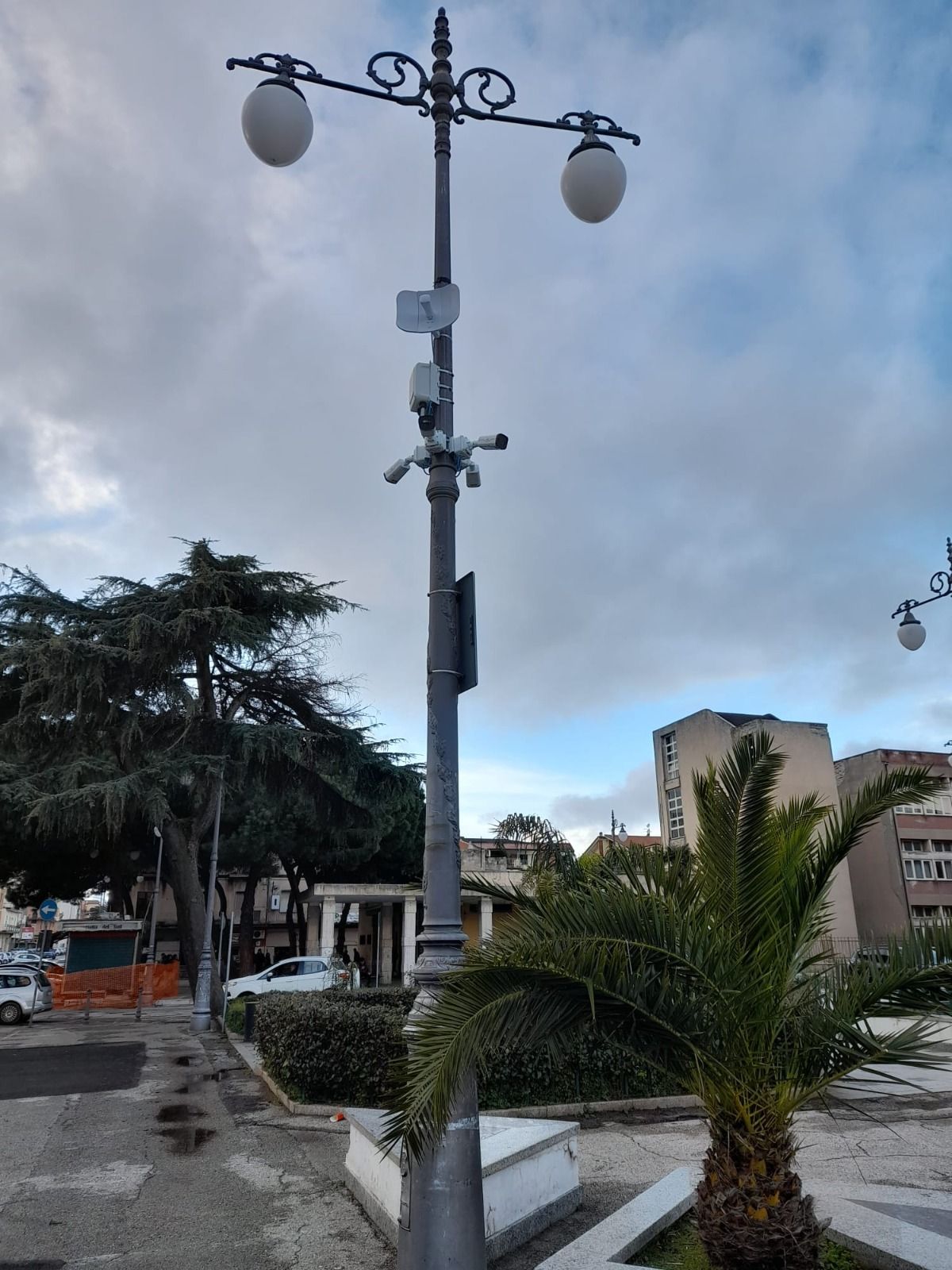 Un lampione in un parco con una palma in primo piano