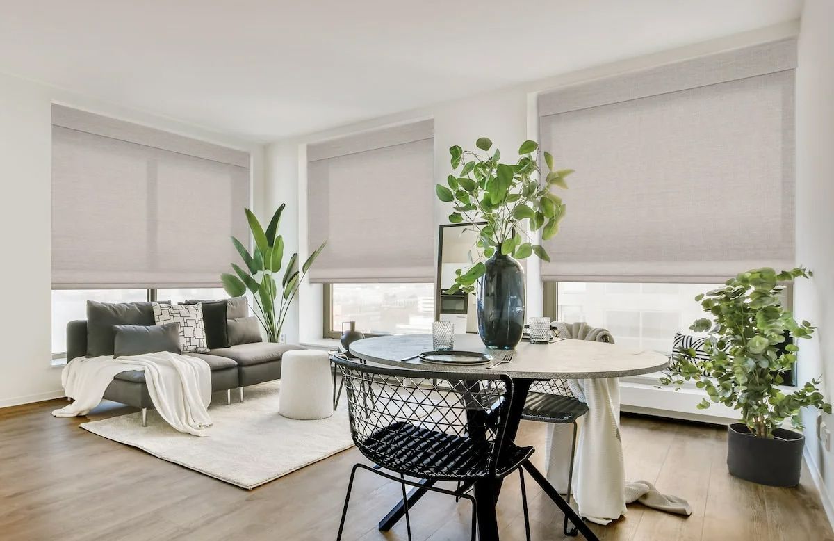 Shades & Plants In Living Room