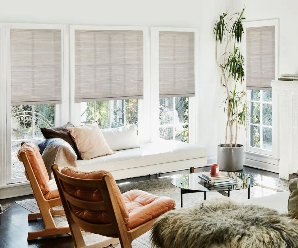 Living Room With Window Shades