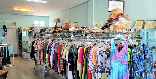 Tips for thrifting at second-hand hotspot Plato's Closet, Culture