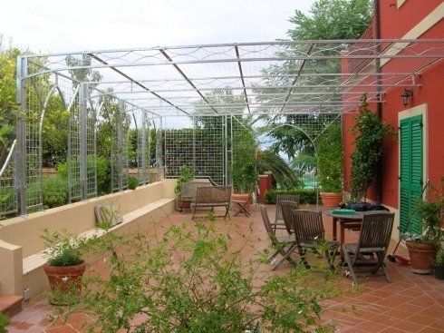 Ombreggiante, rampicante, zincatura a caldo