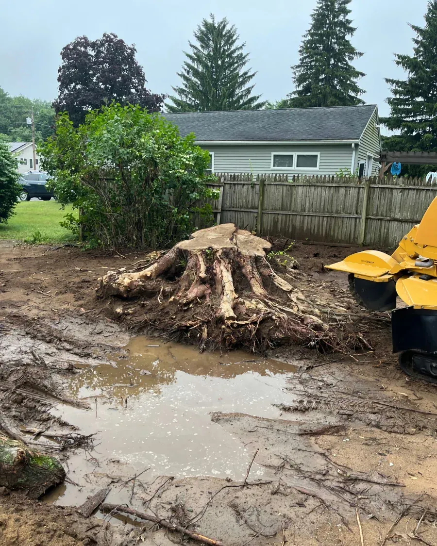 Muddy yard with large tree stump and stump grinder near a fence and house.