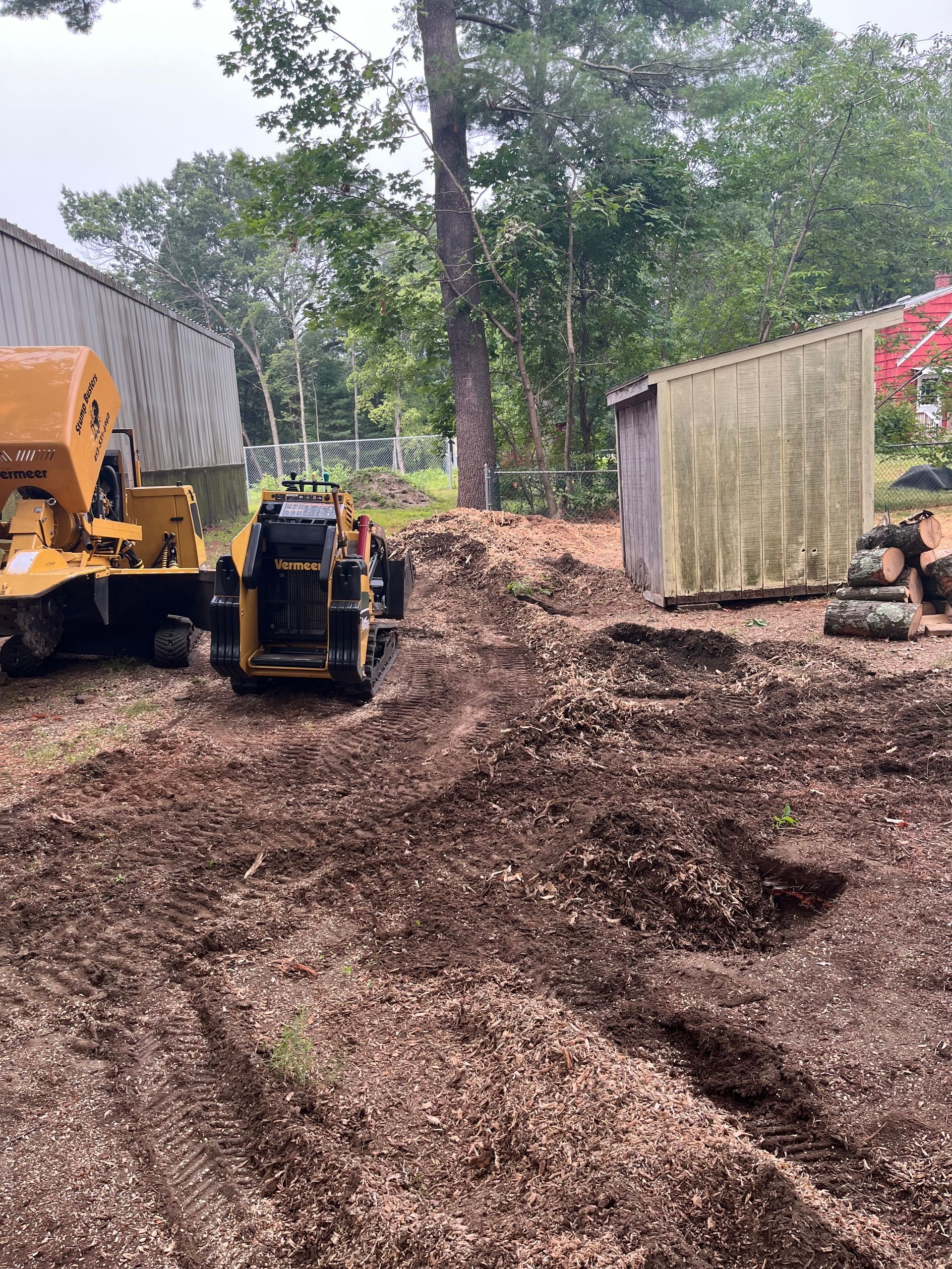 Tree stump grinding, showing equipment and resulting wood chips near sheds.