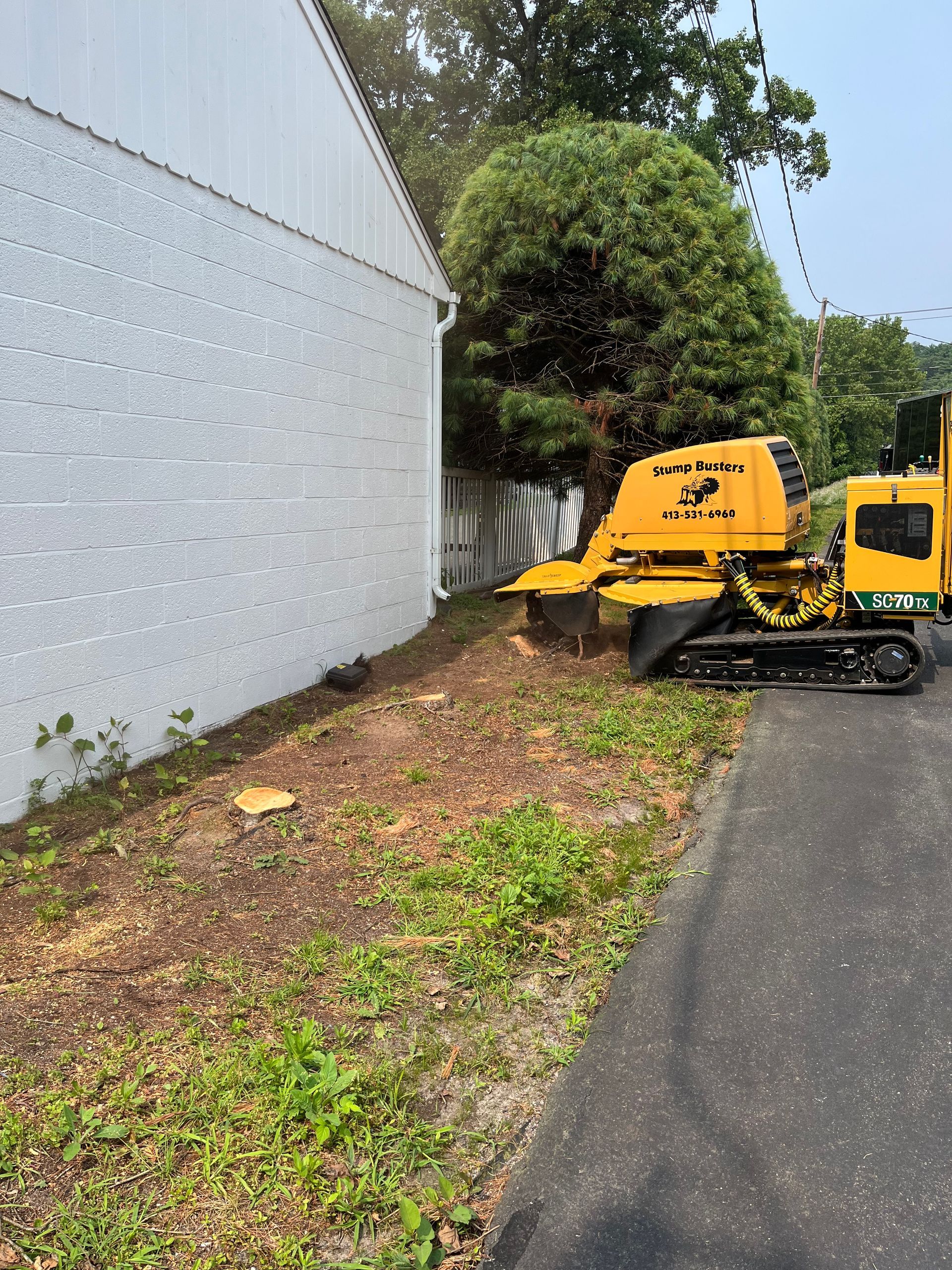 A yellow stump grinder working next to a white building and a road, grinding tree stumps.