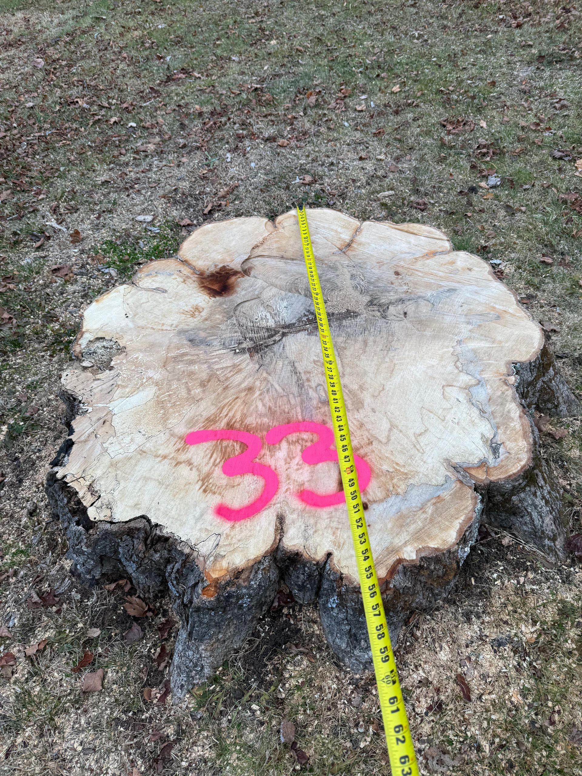 Tree stump with pink 