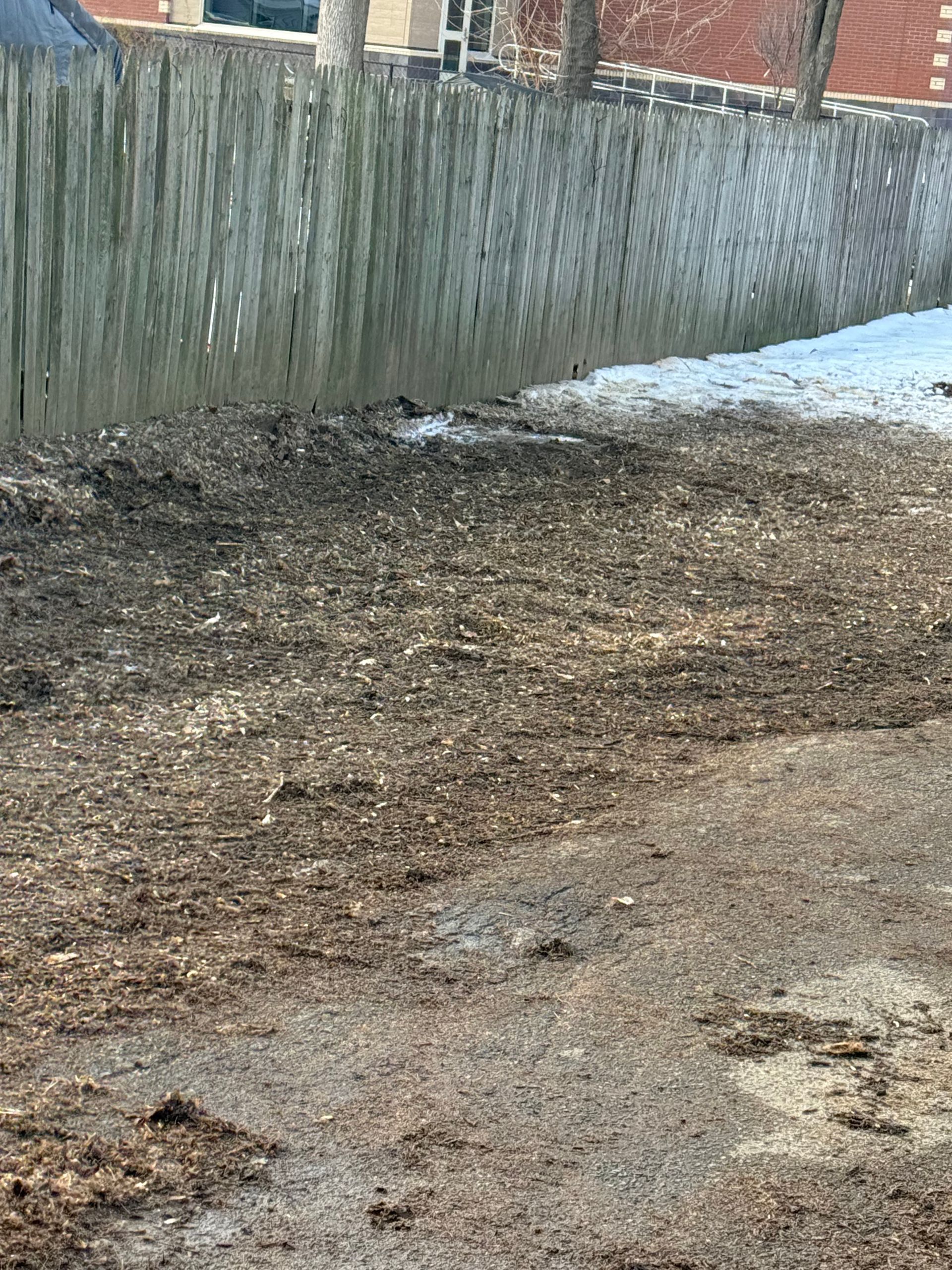 Brown mulch covers a yard near a weathered wooden fence. Patches of snow linger.