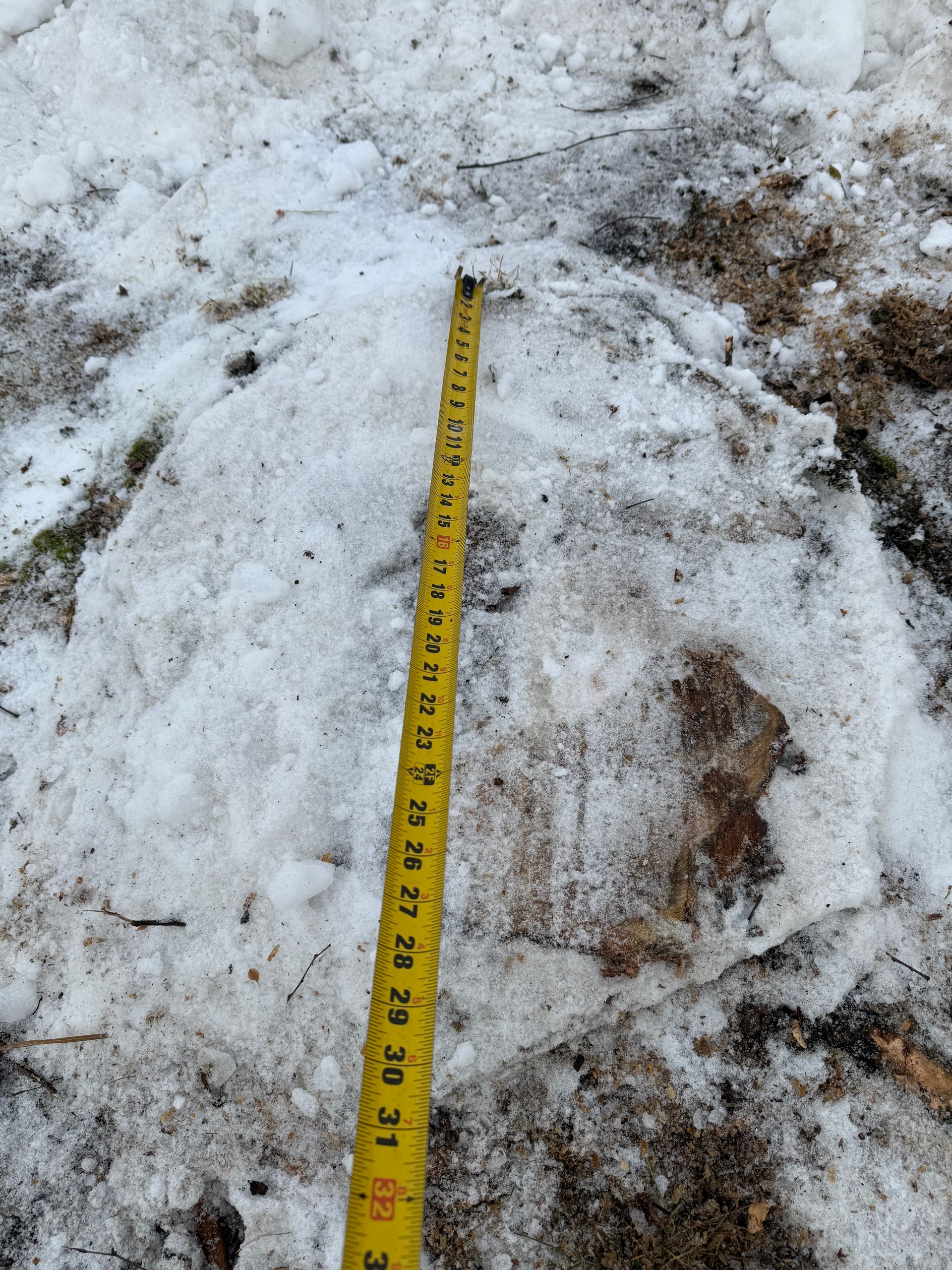 Yellow tape measure on snow-covered ground, measuring a snow pile; natural light.