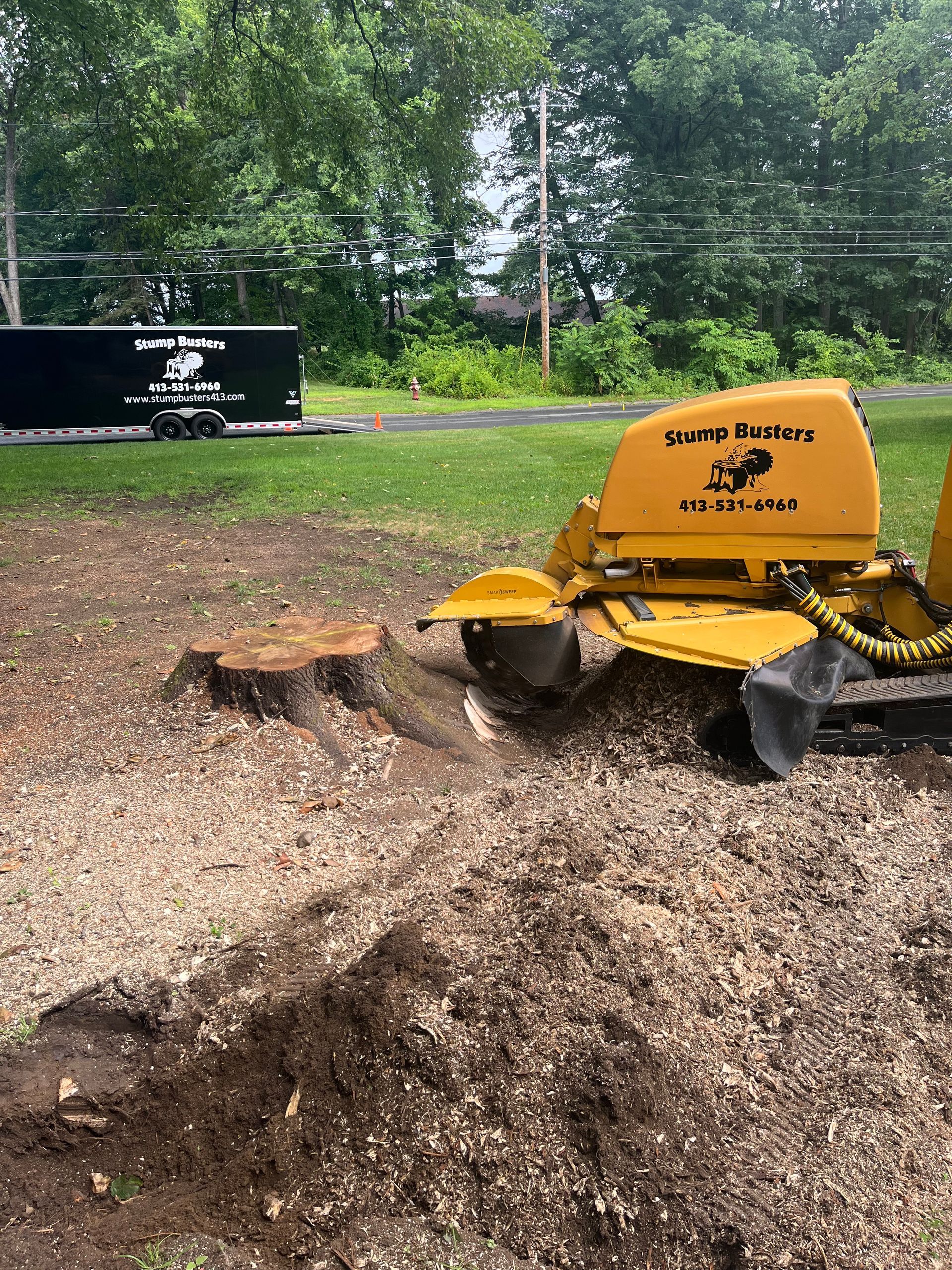 Stump grinder removing a tree stump. Yellow machine grinding wood chips. Green grass and black dumpster in background.