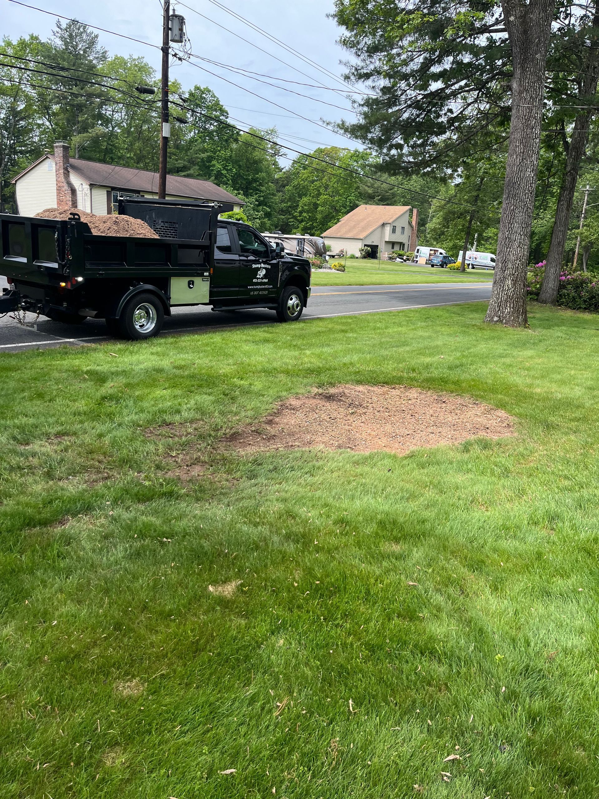 Black truck parked near a mulch pile on a lawn in front of houses; utility pole in the background.