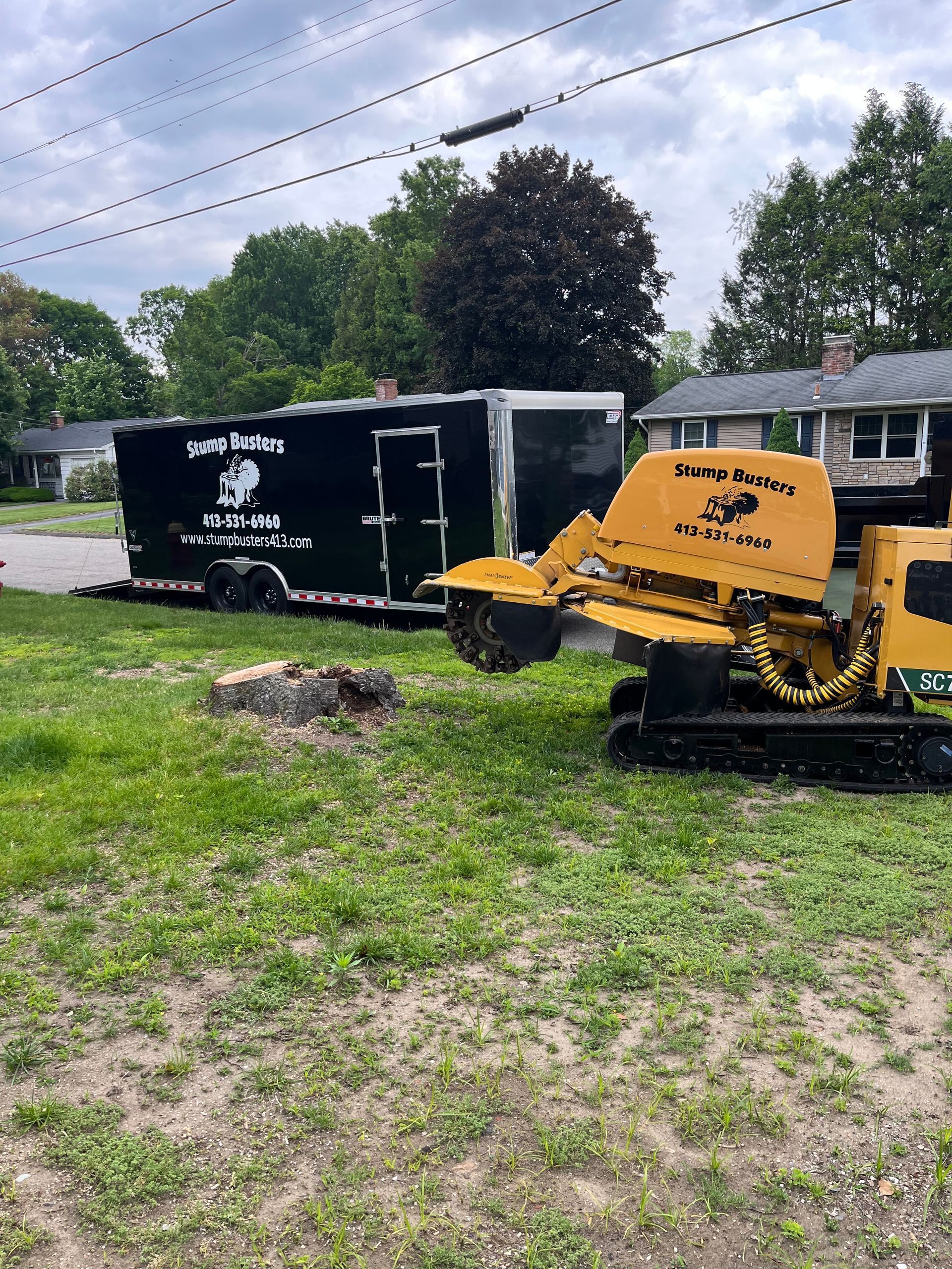 Yellow stump grinder grinding a tree stump in a yard, black trailer in the background.