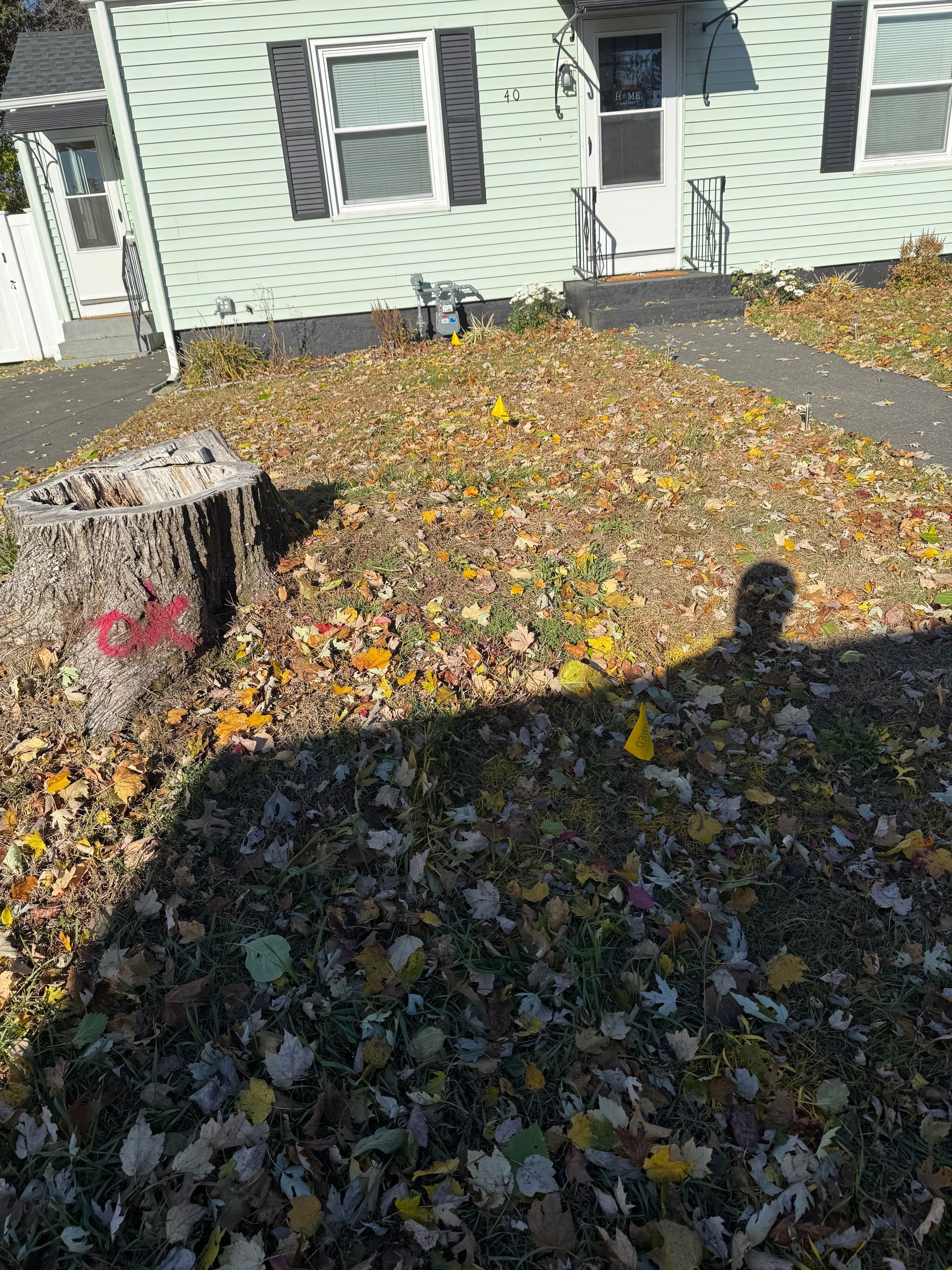 House facade with covered yard in autumn leaves. A tree stump is in the front yard.
